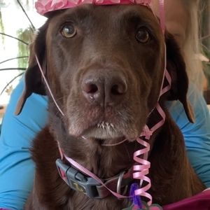 Meet your Posher, Novia